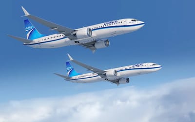 The Boeing 737 uniquely flies with its wheels exposed, but there's an interesting reason why