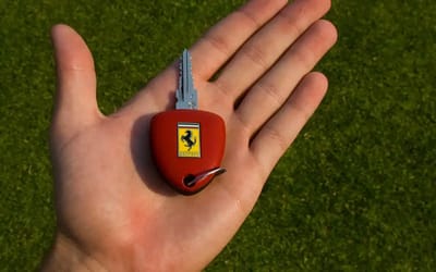Strict rules you have to follow in order to own a Ferrari, you're banned if you break them