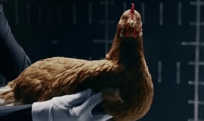 Jaguar had amazing response to Mercedes-Benz’s catchy ad that showed how smooth their car is