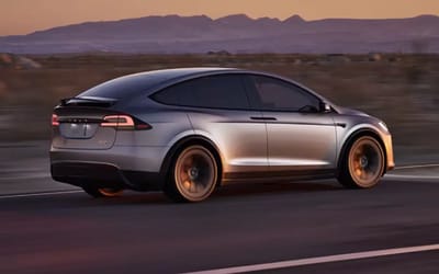 Tesla Model X owner looks through footage from built-in camera and says the video 'is worth a couple of gazillion words'