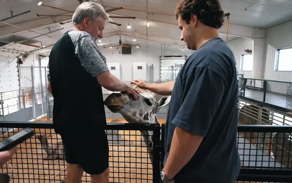 This billionaire's mansion in Oklahoma was hiding a secret stash of Corvette ZR1 supercars alongside a Rolls-Royce fleet and exotic animals like a giraffe